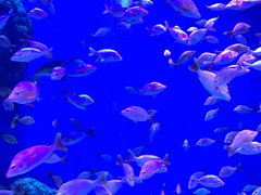 -成都浩海立方海洋公园