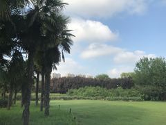 -郑州植物园