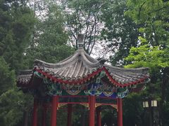 -西海子公园