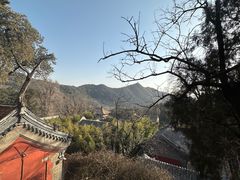 -潭柘寺景区