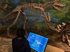 -自贡恐龙博物馆