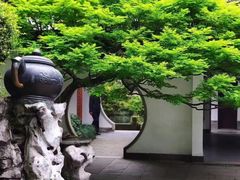 -宋宴(虎跑店)