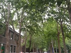 -西北农林科技大学(北校区)