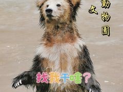 -贵州森林野生动物园