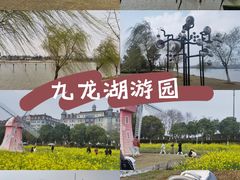 -九龙湖公园