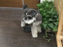 -仰生如卉推拿养生馆(酒仙桥店)