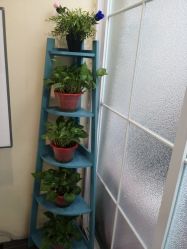 点击看大图 -薇兰专业脱毛连锁机构