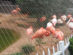 -大连老虎滩海洋公园