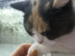 -极木²邸 人与宠物·互动社区
