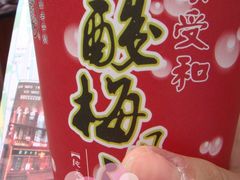 酸梅汤-叶受和(观前街店)