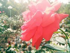 -人民公园(罗湖区)