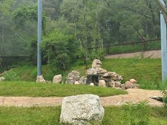 -沈阳森林动物园