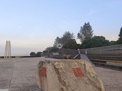 -上海滨江森林公园