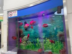 -雅悦齿科(顾村公园店)