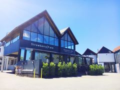 -Strawberry Fare