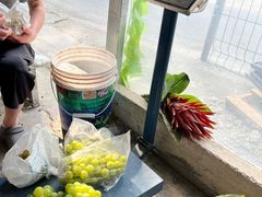 -马陆小张葡萄园农家乐