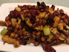 -陈麻婆豆腐总店