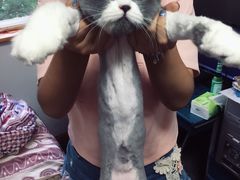 -1013 PET SHOP 宠物商店(近铁城市广场店)