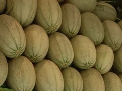 -果叔(红旗街店)