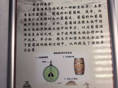 -紫轩葡萄酒庄园