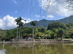 -深圳仙湖植物园