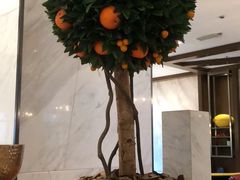 -上海虹桥西郊假日酒店