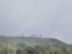 -白草畔自然风景区