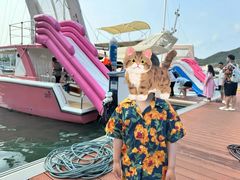 -小猫钓鱼海钓俱乐部(椰梦长廊店)