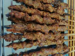 -民族烤羊·烤羊肉串·烤羊排(南城店)