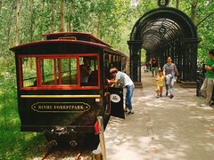 -合肥滨湖国家森林公园