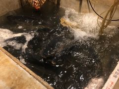 -蜀留香石锅鱼(六顺街店)