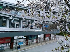 -上海南浦大桥长途旅游客运站