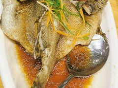 清蒸石斑鱼-南海渔家•渔民海鲜(亚特兰蒂斯店)