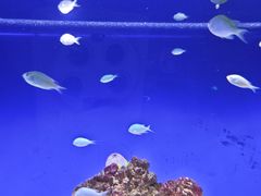 -重庆欢乐海底世界