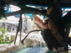 -中铁花水湾温泉酒店(大邑店)