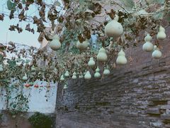 -德居源