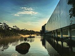 -罗红摄影艺术馆