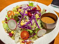 田园时蔬沙拉沙拉-布拉格餐厅· 中欧捷克菜(全国首店)