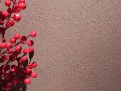 -和悦SPA·采耳(聚丰园路店)