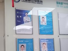 -宠福鑫动物医院(城北分院)