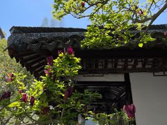 -上海醉白池公园