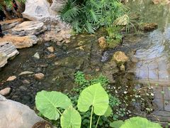 -南通洲际绿博园