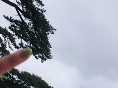 -妙峰山风景名胜区