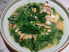 上汤桑叶苗-大榕树下顺德菜(融创茂店)