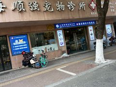 -顺强宠物诊所·狂犬免疫·夜诊·骨科(嘉定店)