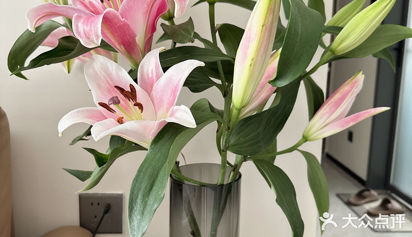 天气热，来根清凉雪糕