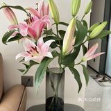 天气热，来根清凉雪糕