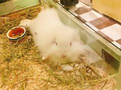 -龙猫仔乐园(惠福东路店)