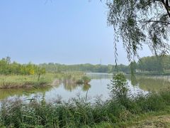 -野鸭湖国家湿地公园