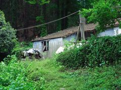 -素山寺森林公园